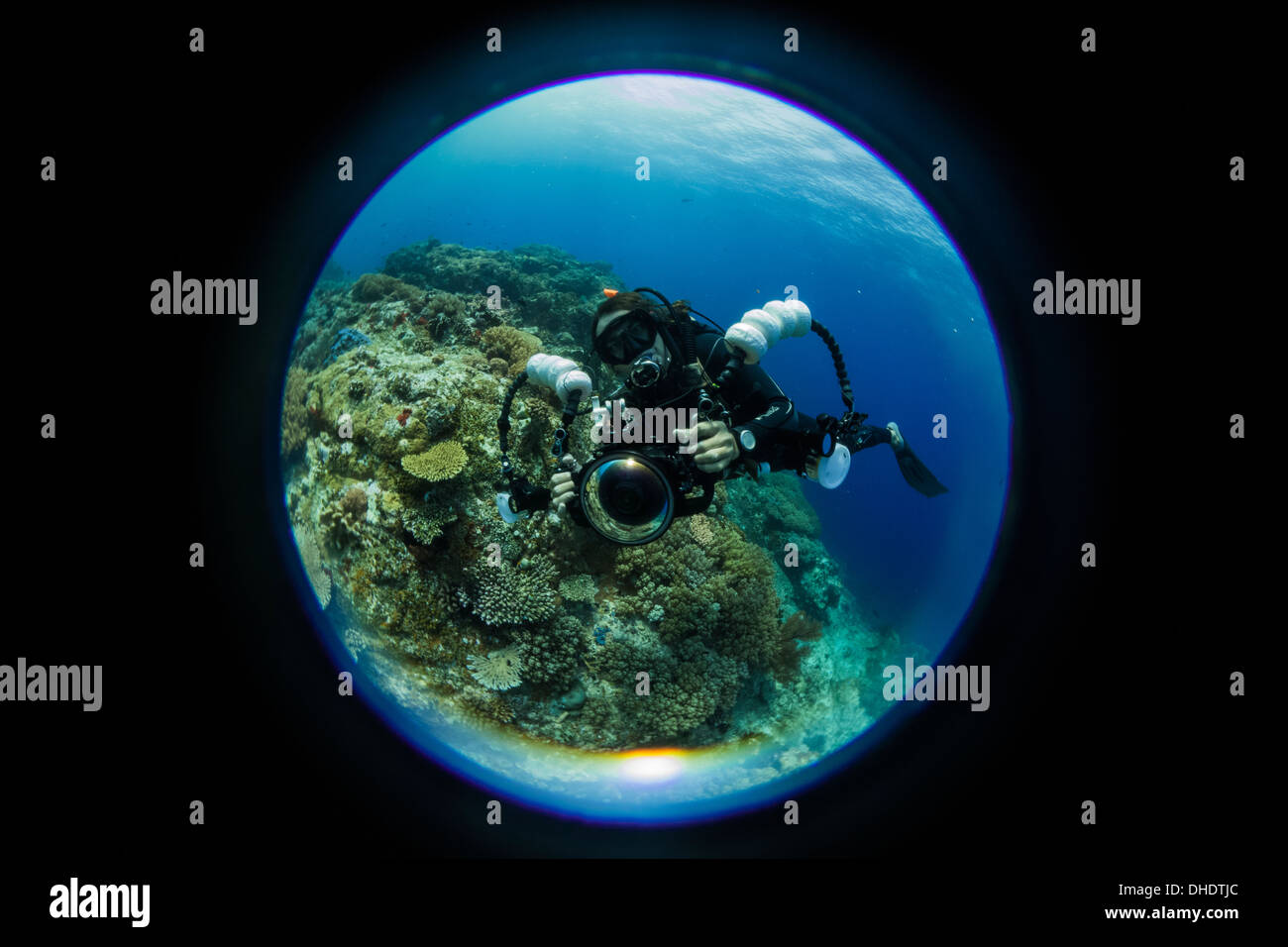 underwater, indonesia, komodo, sea, ocean, scuba, diving, endoscopic