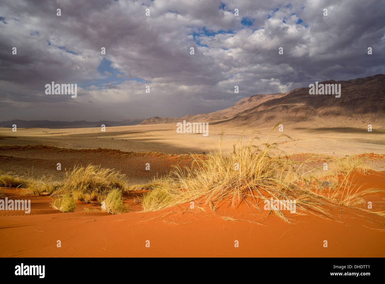 Brooding clouds over the vivid red dunes of NamibRand, Namib Desert, Namibia, Africa Stock Photo