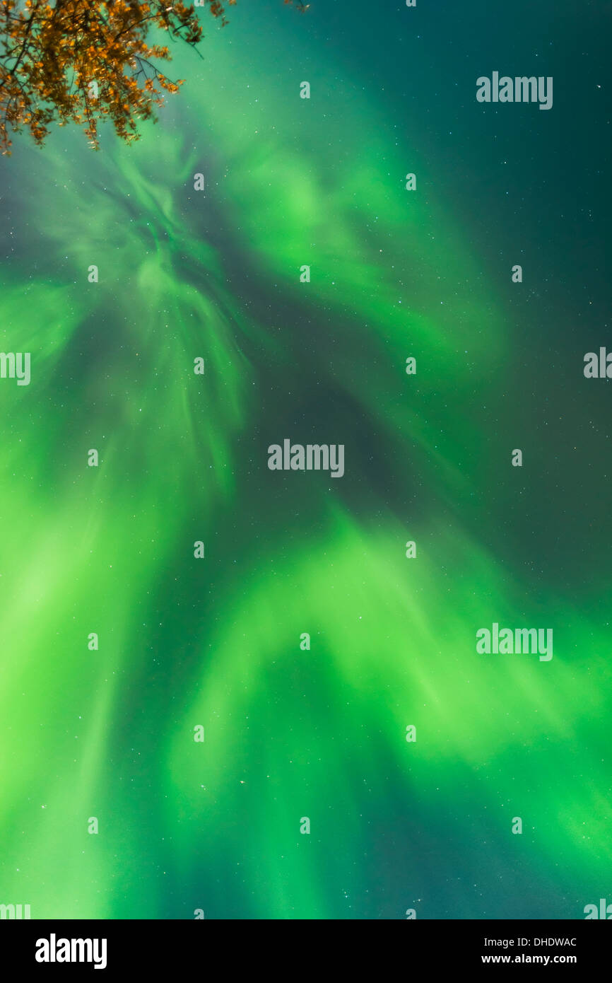 Northern Lights In The Sky Above The Chena Lakes Recreation Area; Fairbanks, Alaska, United