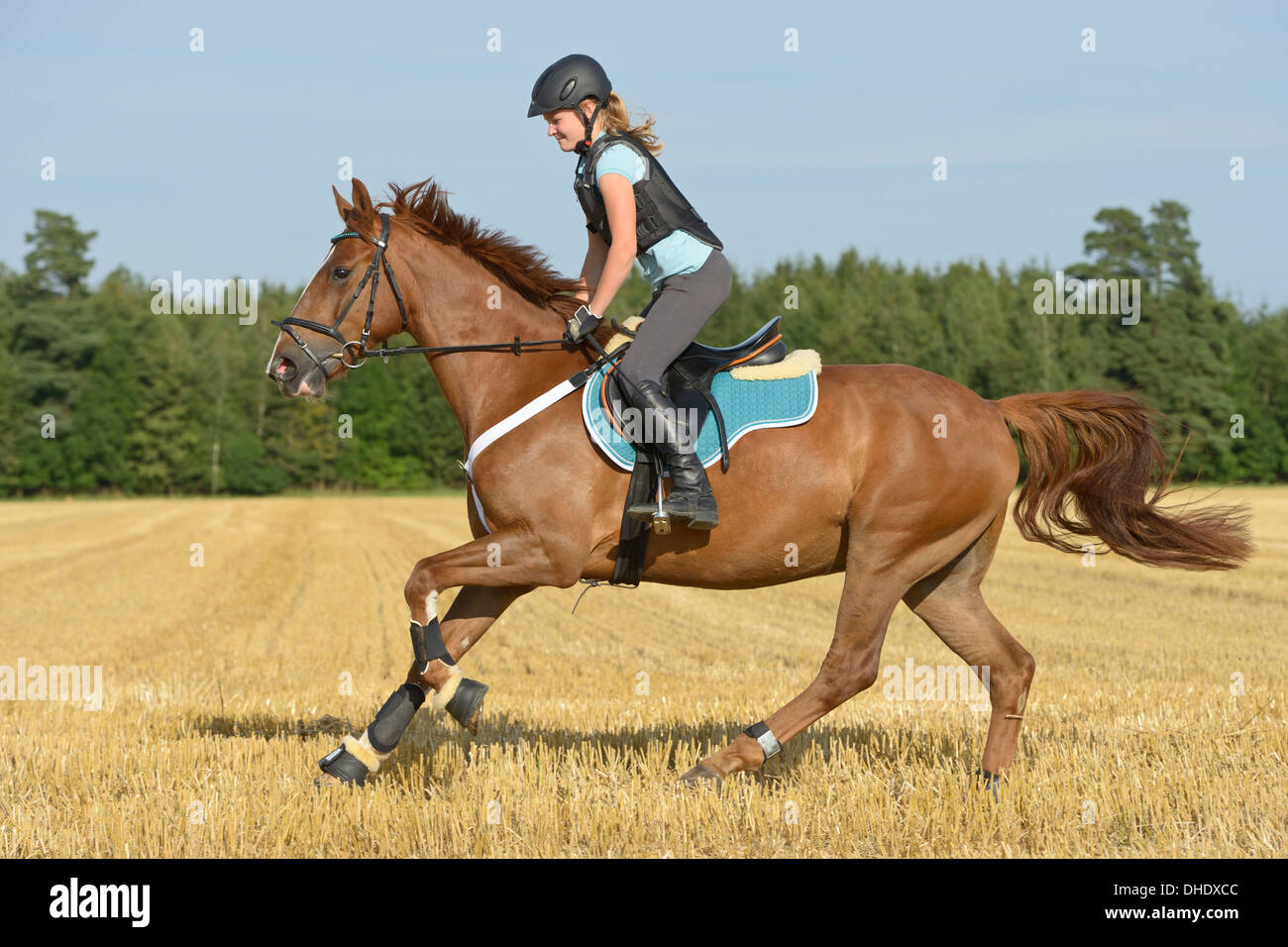 Girl wearing a riding hat and body protector on back of an Irish Sport Horse galloping in a