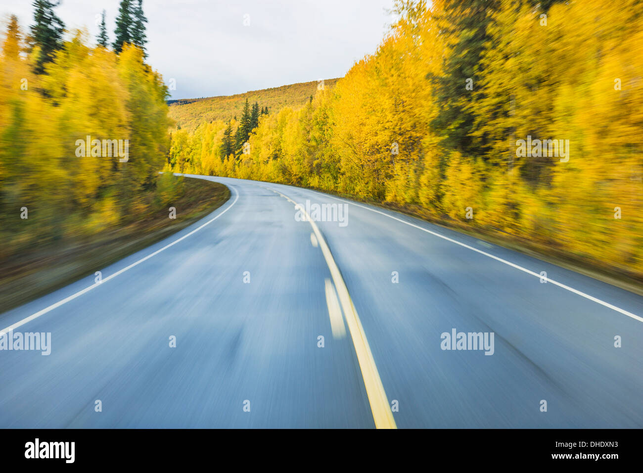 Road Detail Traveling The Steese Highway North Of Fairbanks In Autumn