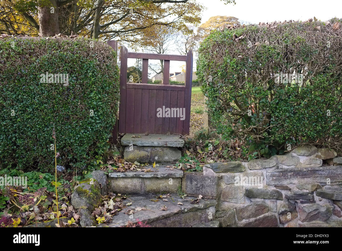 Badly rotted garden gate, falling off its hinges Stock Photo