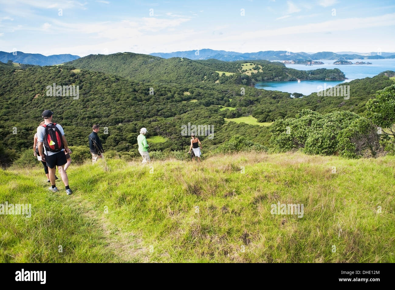 A Group Walks On A Trail On Urupukapuka Island; Bay Of Islands, New Zealand Stock Photo