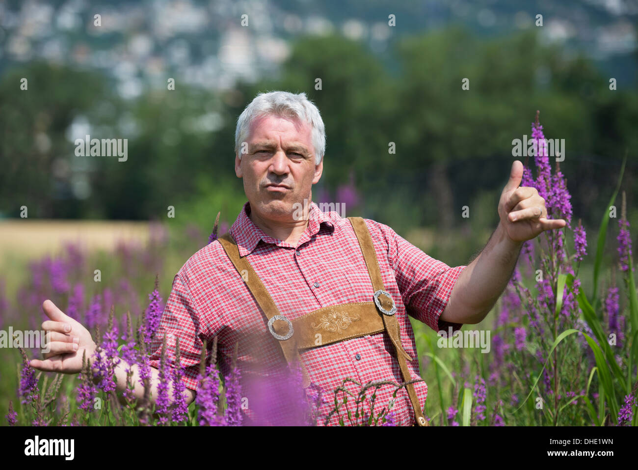 A Man Standing In A Field With Purple Blossoms Giving The Shaka Sign With  His Hands; Locarno, Ticino, Switzerland Stock Photo - Alamy