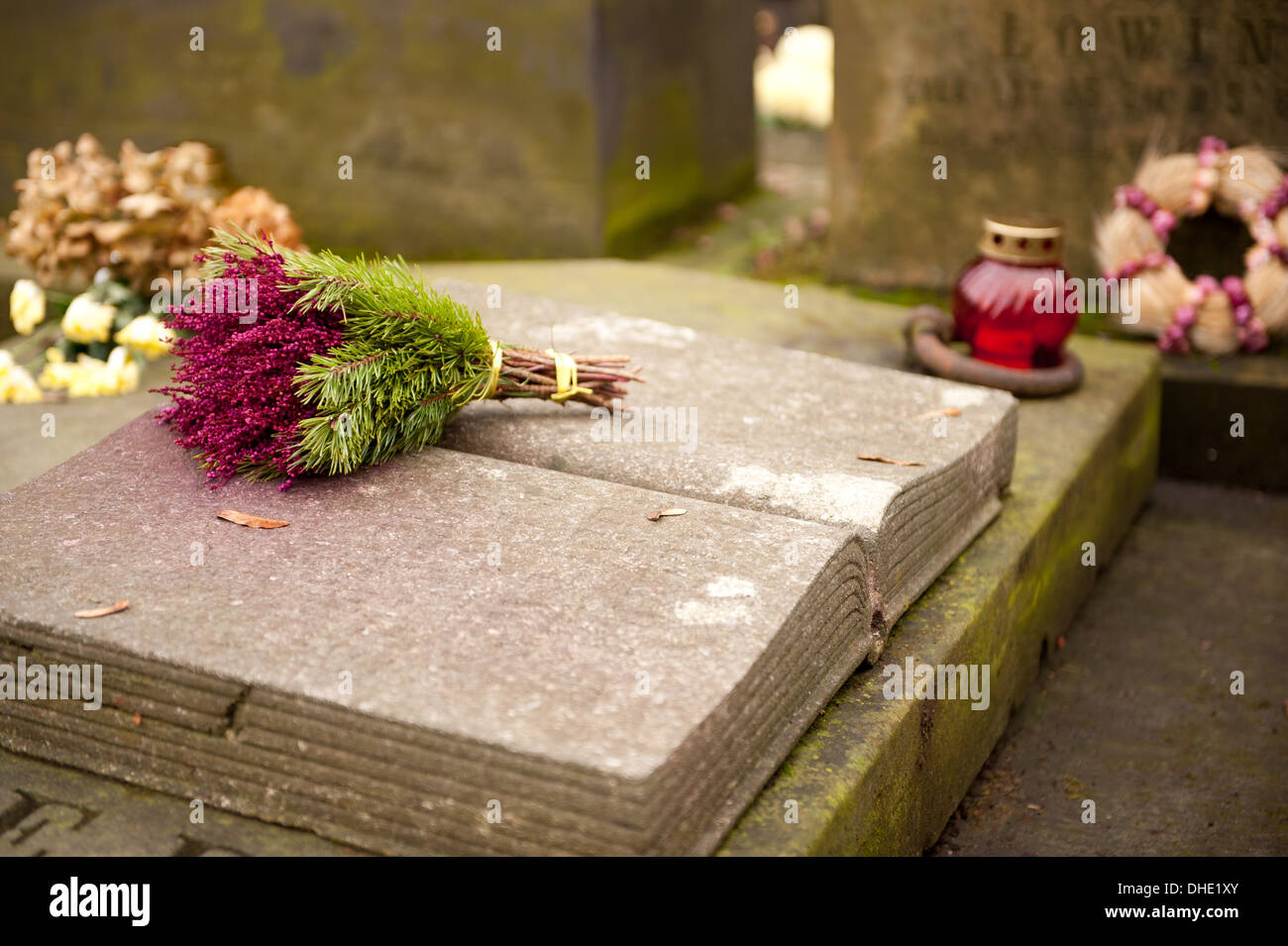 Pink ling hi-res stock photography and images - Alamy