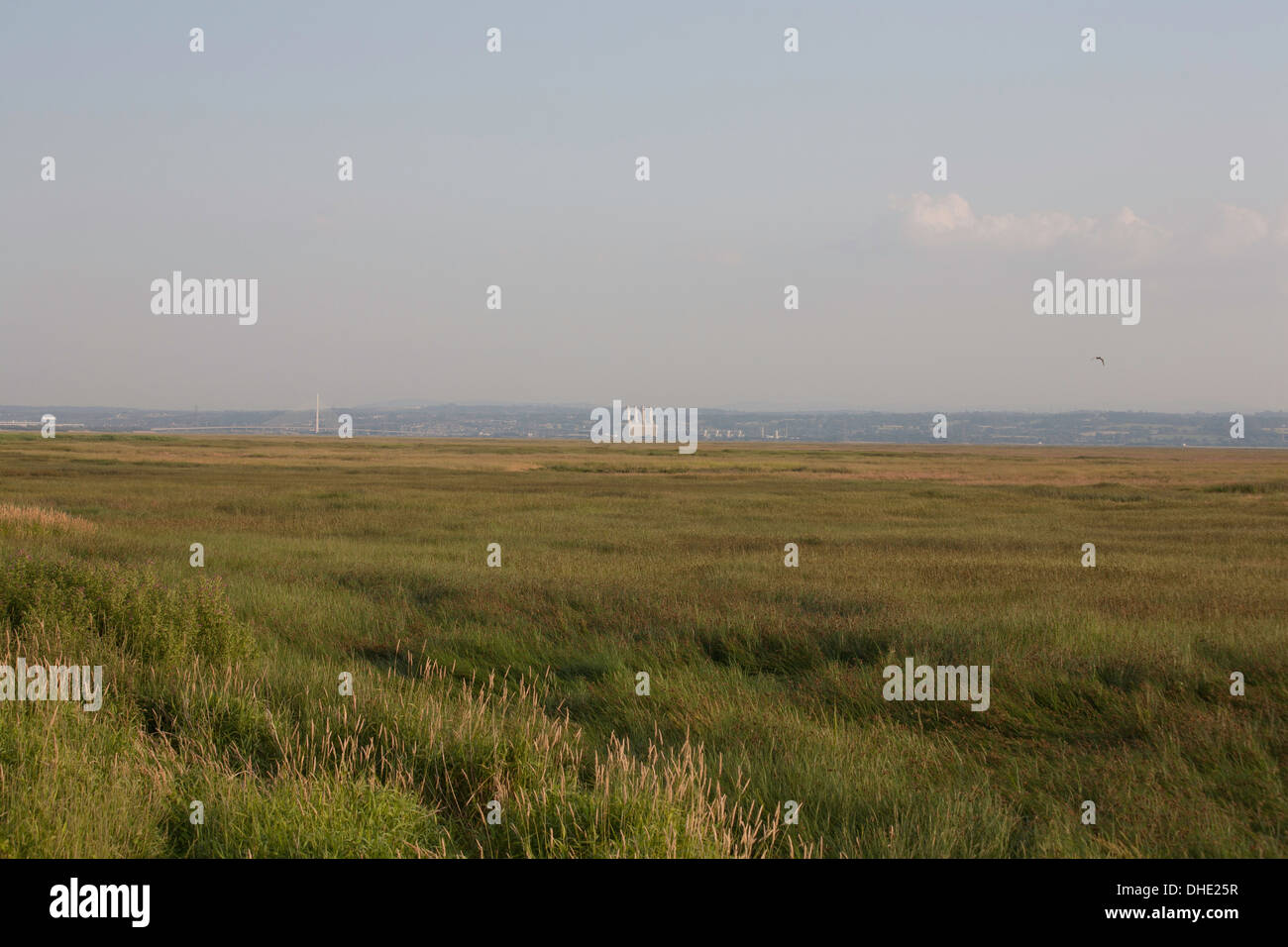 Salt Marsh on The Wirral Peninsula beside The Estuary of The River Dee near Neston Cheshire England Stock Photo