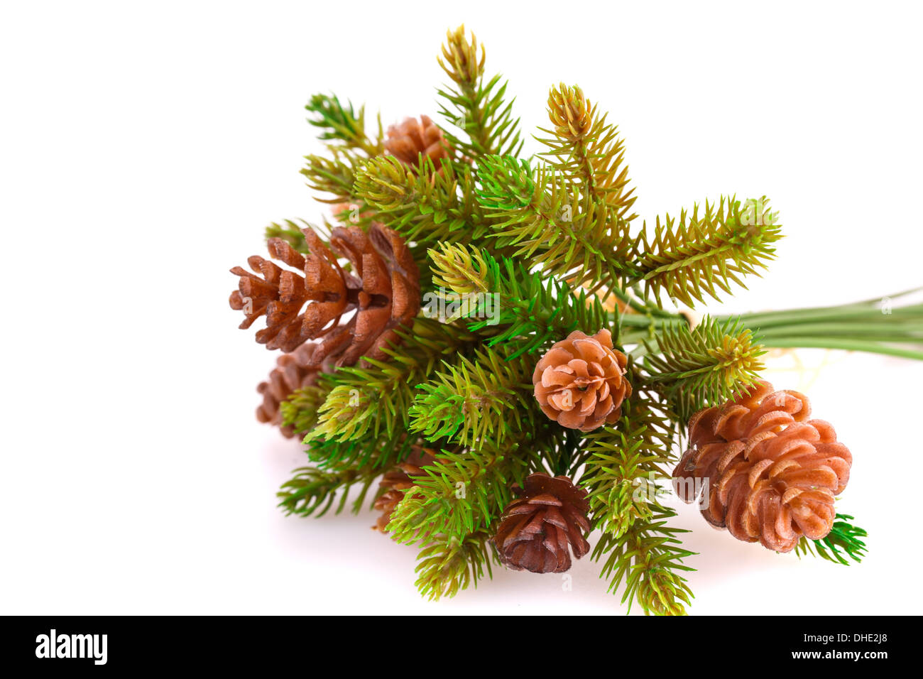 Christmas tree branch with cones isolated on white background Stock ...