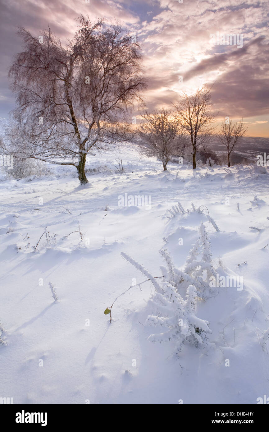 Worcester MATHON 静かな冬の風景を閉じ込めた英国の器 Worcester is covered in snow hi-res stock photography and images