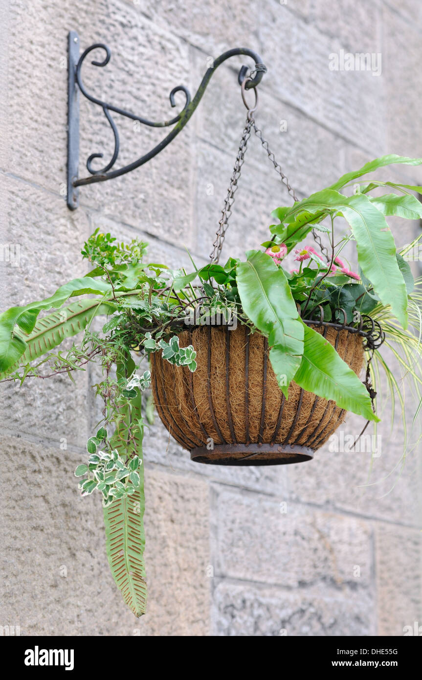 Hanging basket and stone wall. Stock Photo