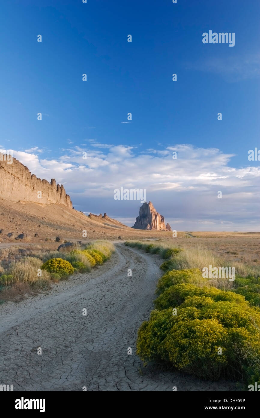 Road and yellow shrubs leading to Shiprock, New Mexico USA Stock Photo