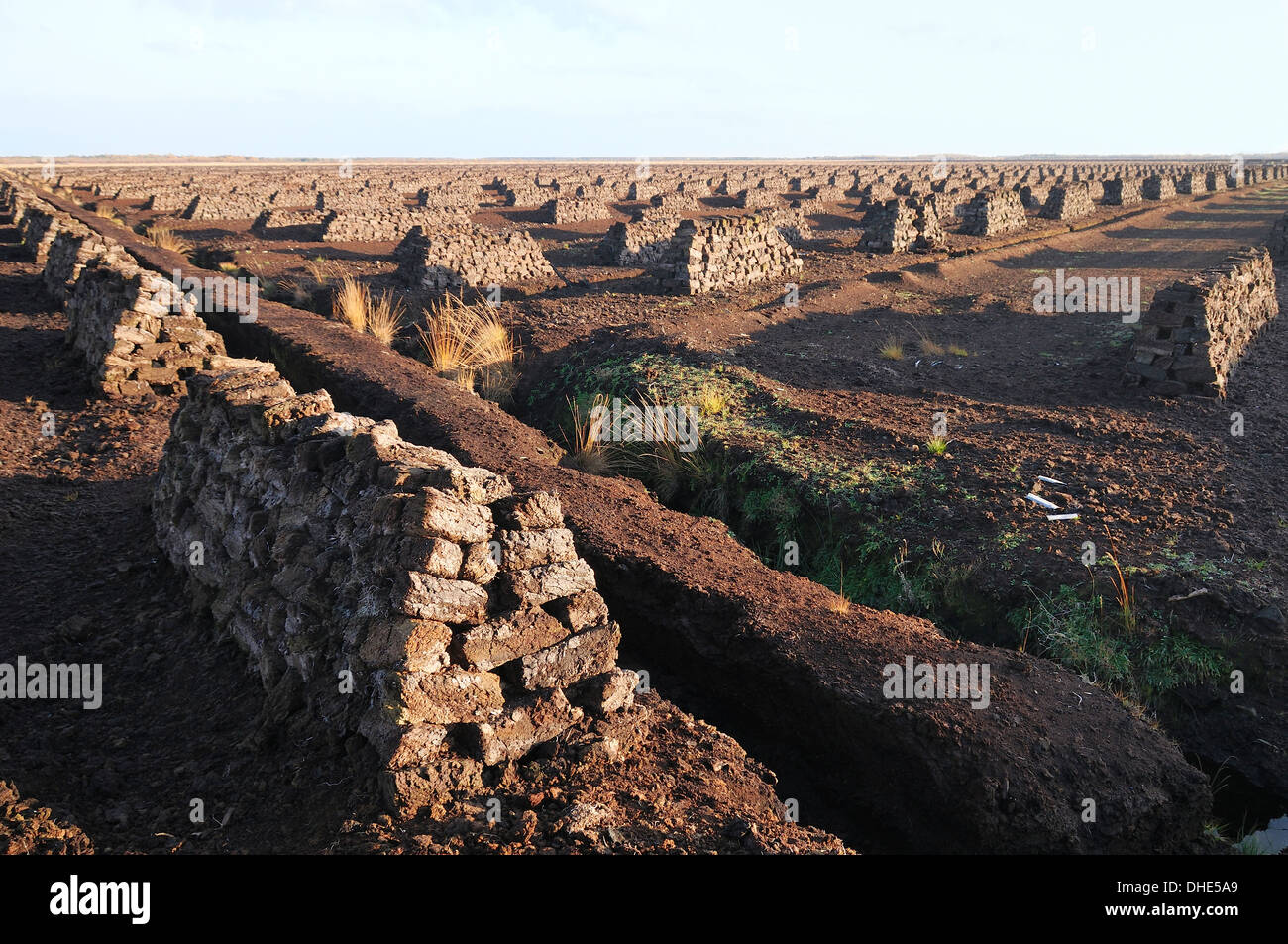 Massed stacks of drying peat turves, mechanically extracted on an industrial scale, Goldenstedt moor, near Vechta, Germany. Stock Photo