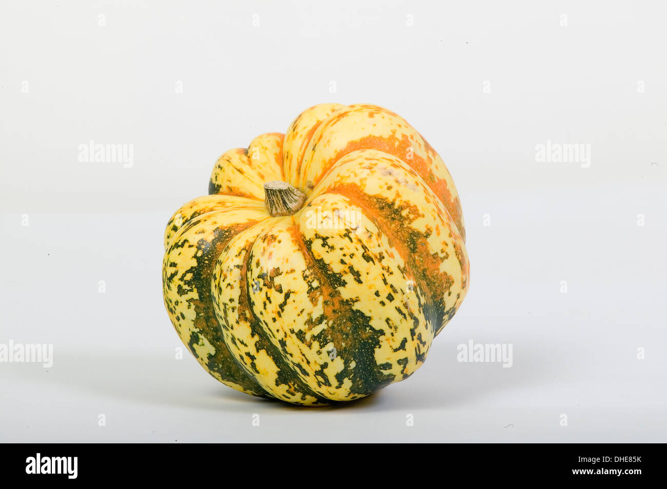 A whole acorn squash pumpkin on a white background. Stock Photo