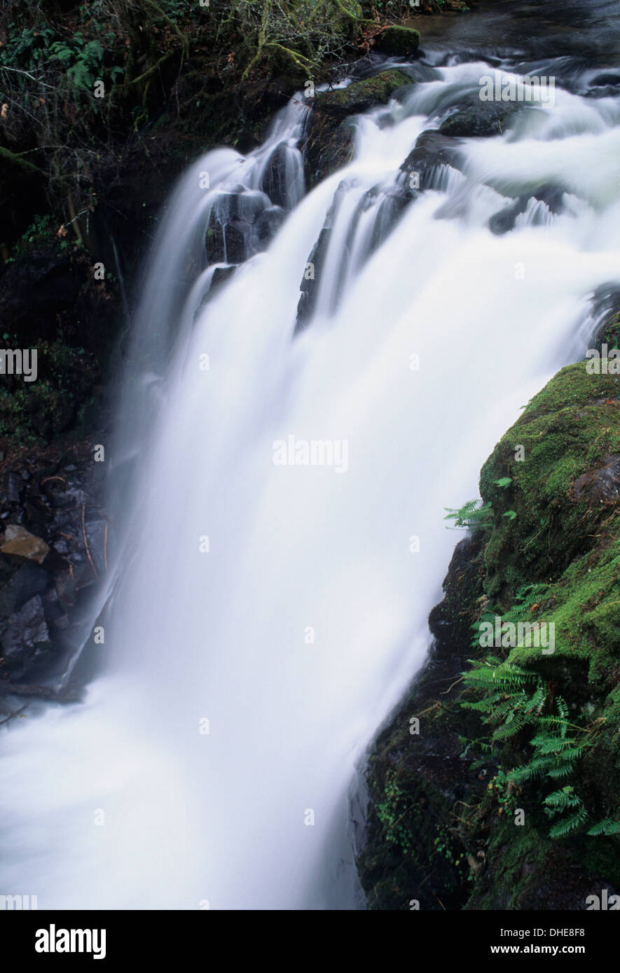 Majestic Falls, McDowell Creek Falls Park, Oregon Stock Photo Alamy