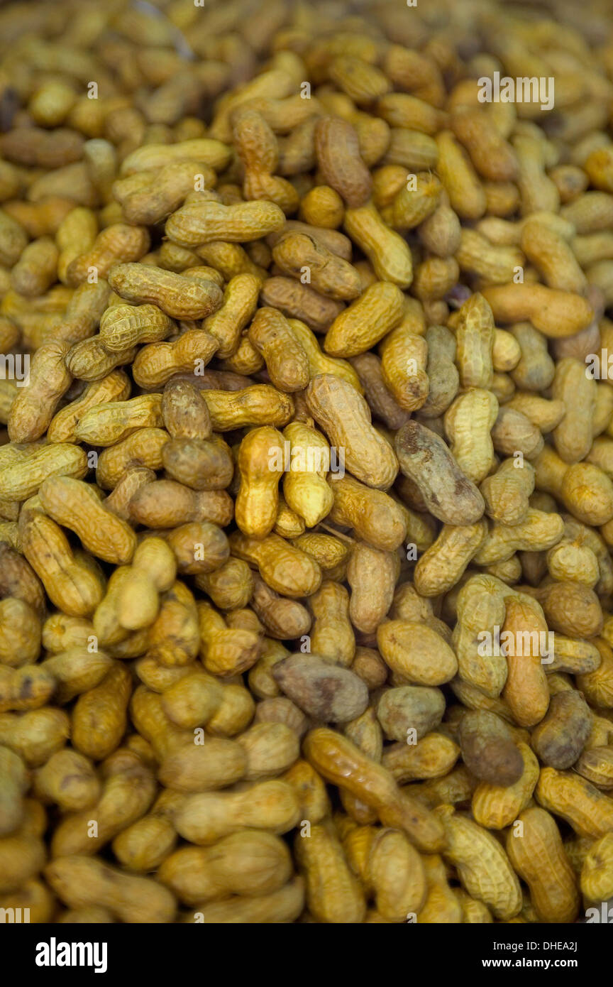 A pile of unshelled steamed peanuts. Stock Photo
