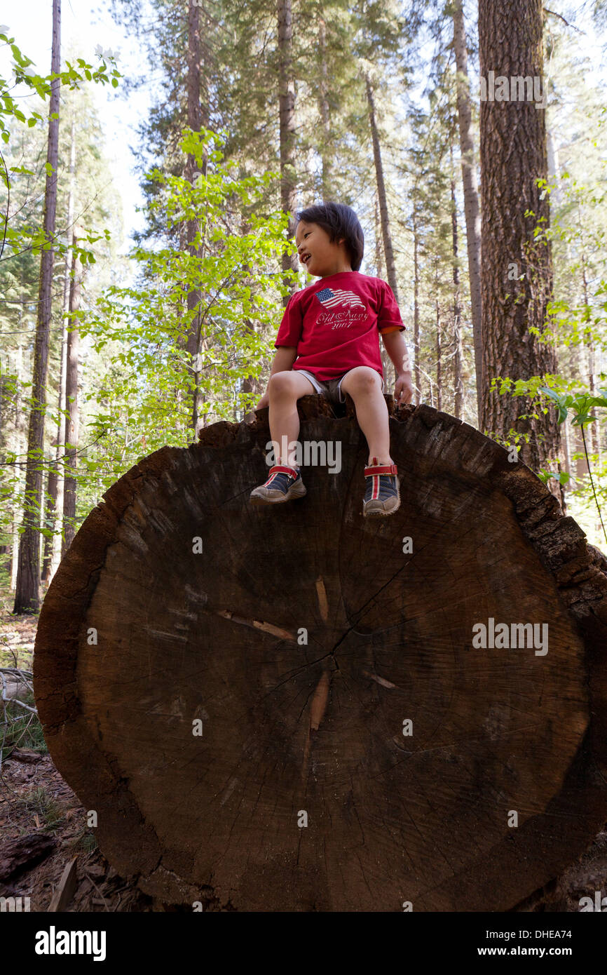 Boy sitting on large log, Sierra Nevadas - California USA Stock Photo