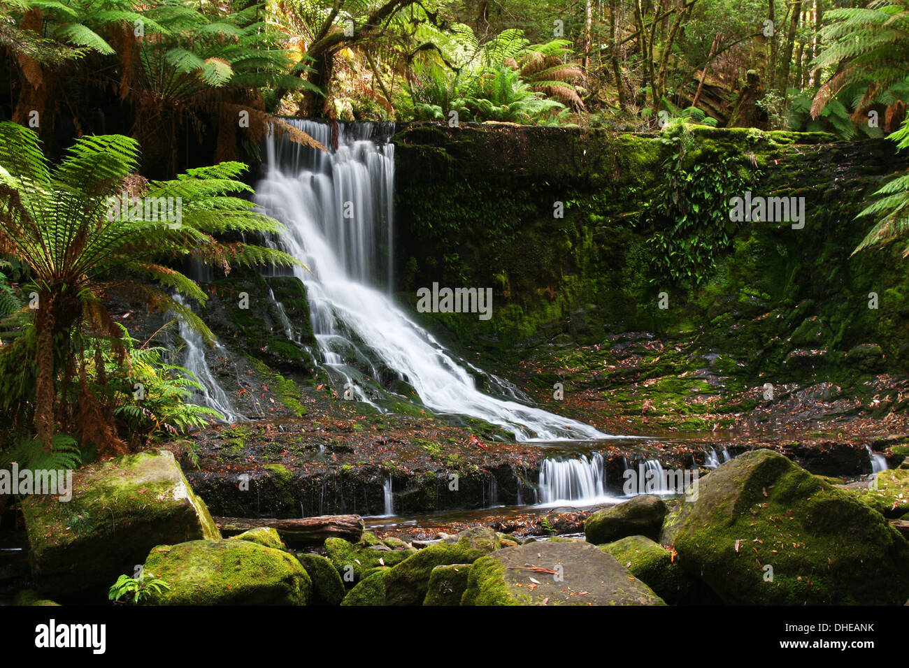 Horseshoe Falls in Mount Field National Park in Tasmania, Australia