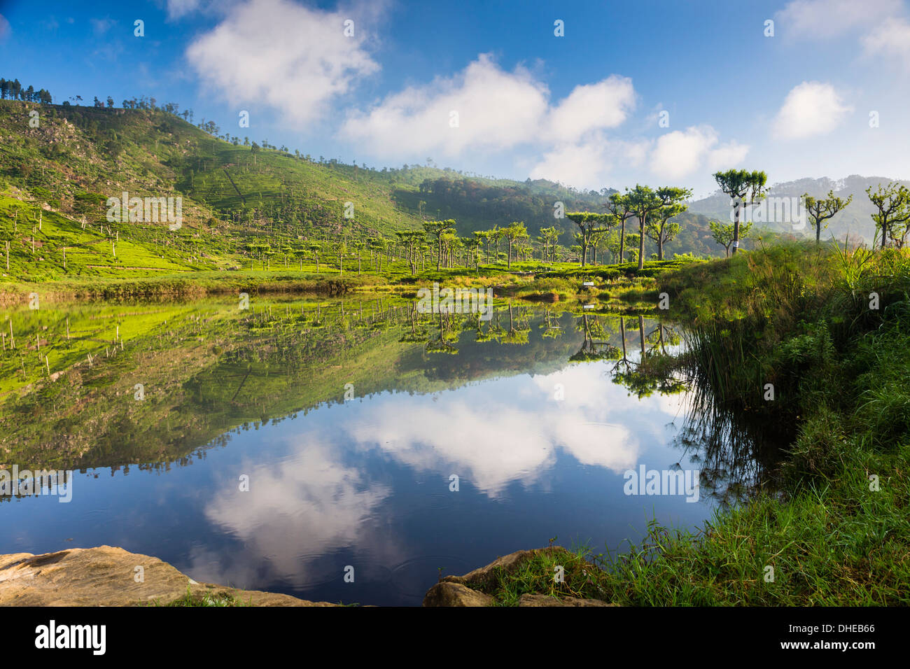 Lake at Haputale, Nuwara Eliya District, Sri Lanka Hill Country, Sri Lanka, Asia Stock Photo