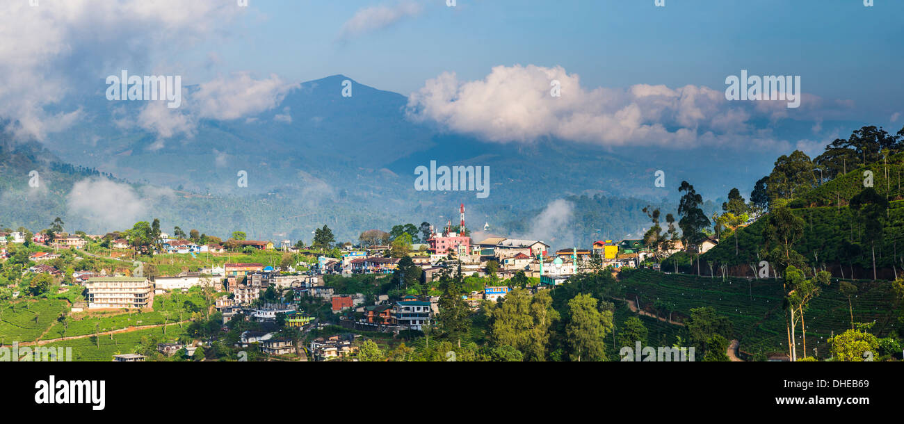Haputale, Sri Lanka Hill Country, Nuwara Eliya District, Sri Lanka, Asia Stock Photo