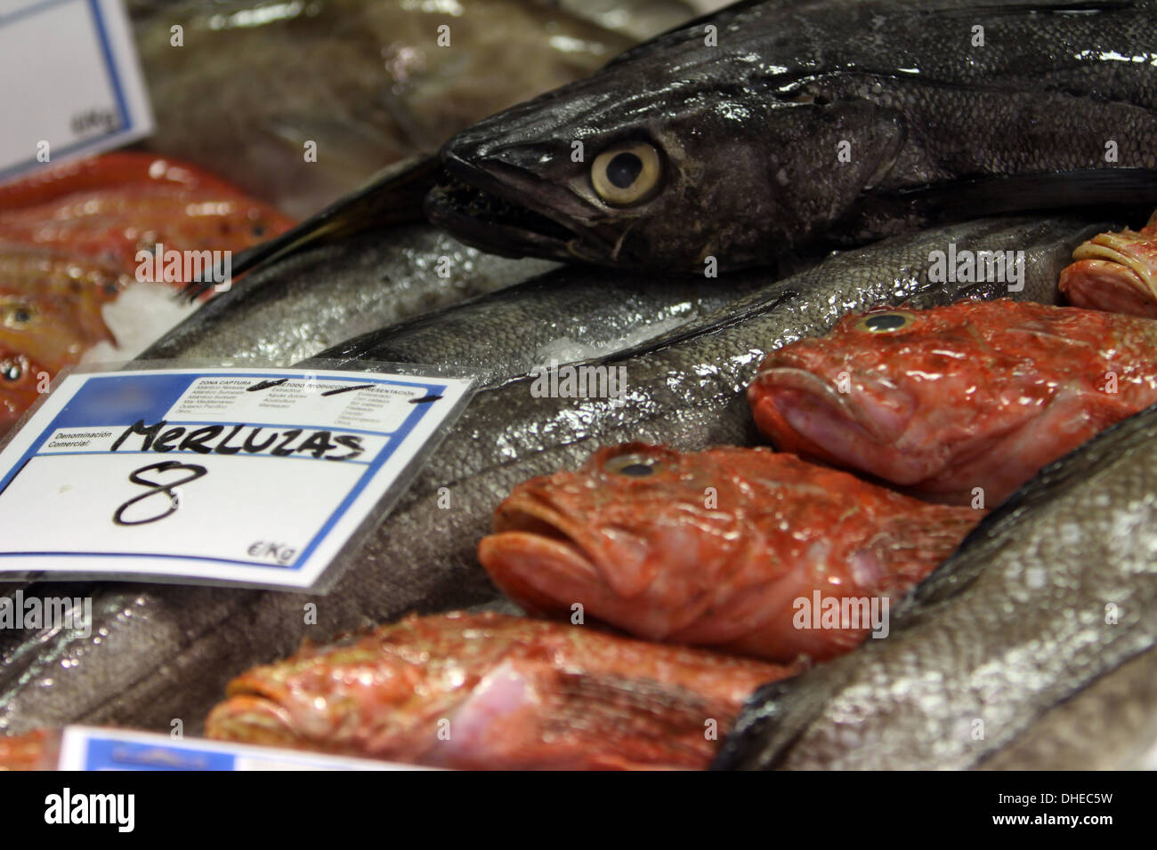 fresh fish on the market Stock Photo