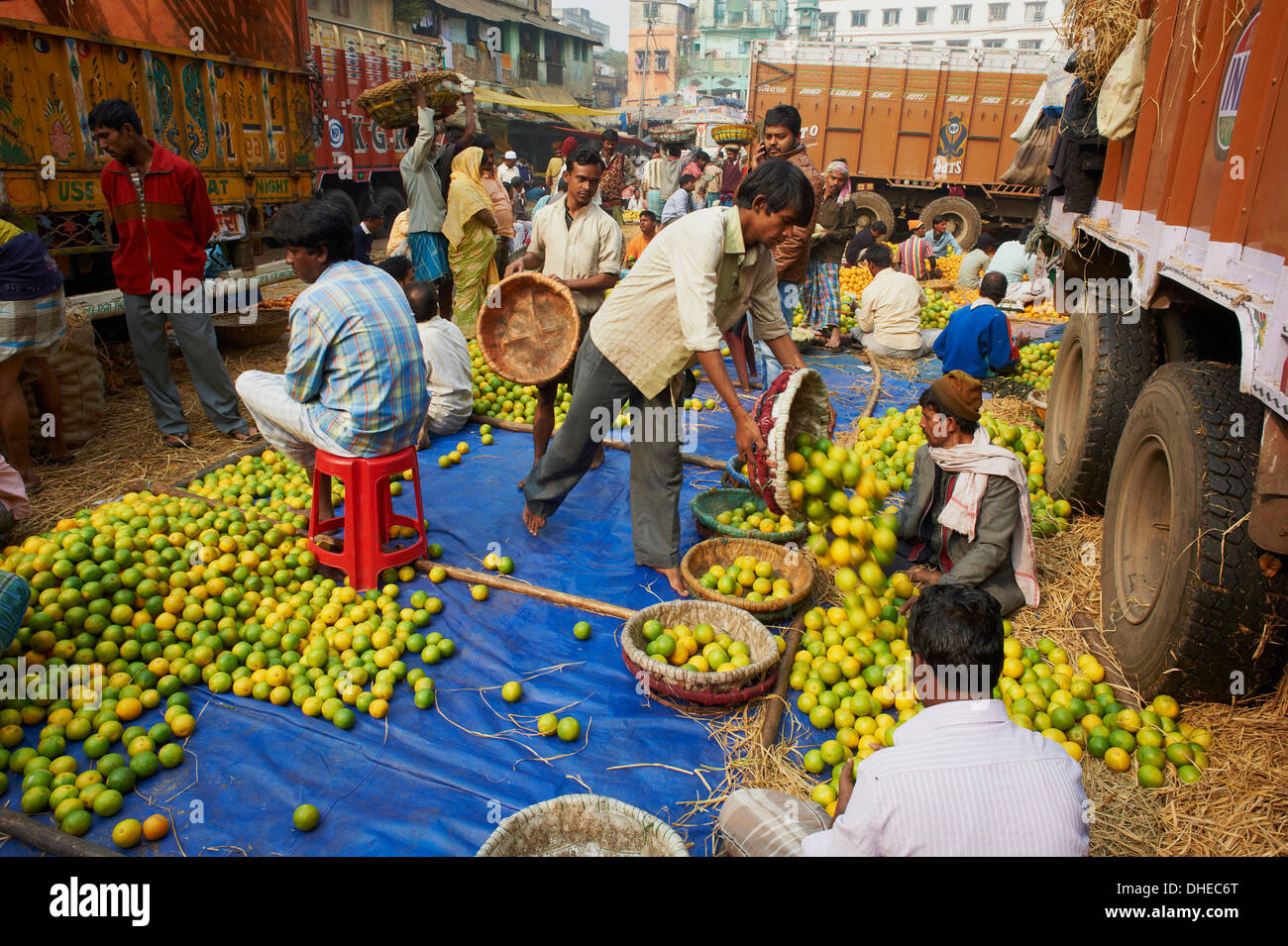 Fruit market, Kolkata (Calcutta), West Bengal, India, Asia Stock Photo