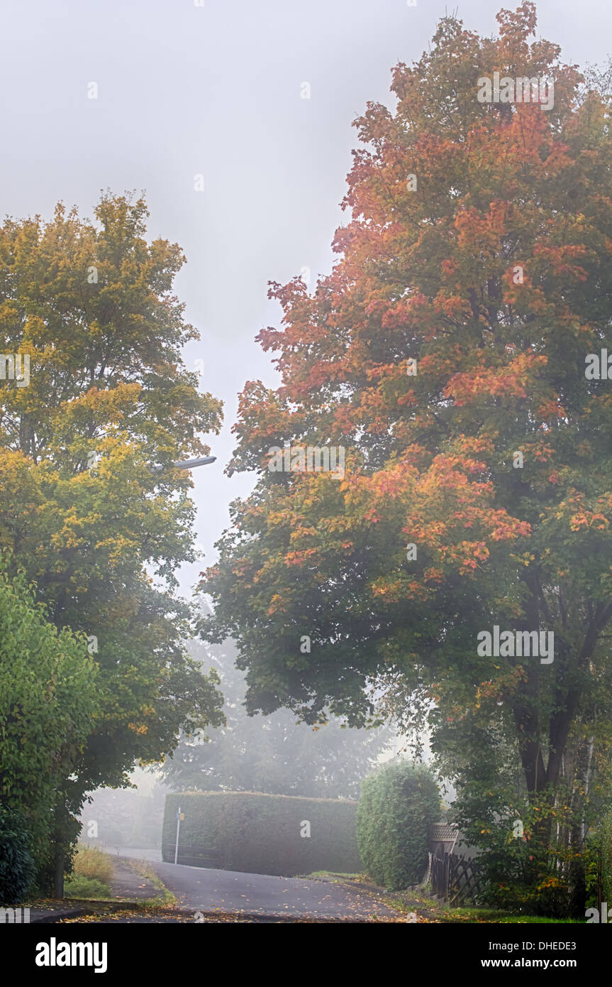 Foggy Autumn landscape Stock Photo