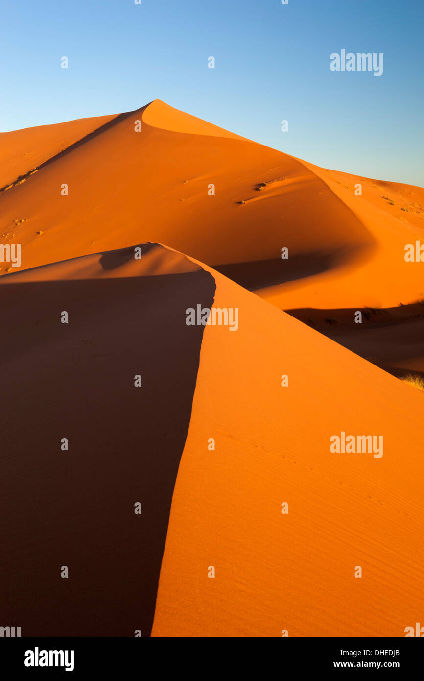 Sand dunes of Erg Chebbi, Merzouga, Meknes-Tafilalet, Morocco, North Africa, Africa Stock Photo