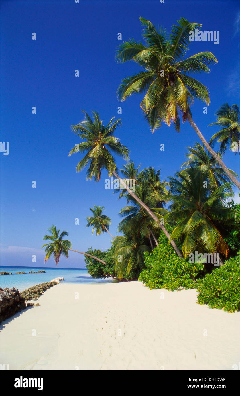 Beach at Nakatchafushi, North Male Atoll, Maldives Stock Photo