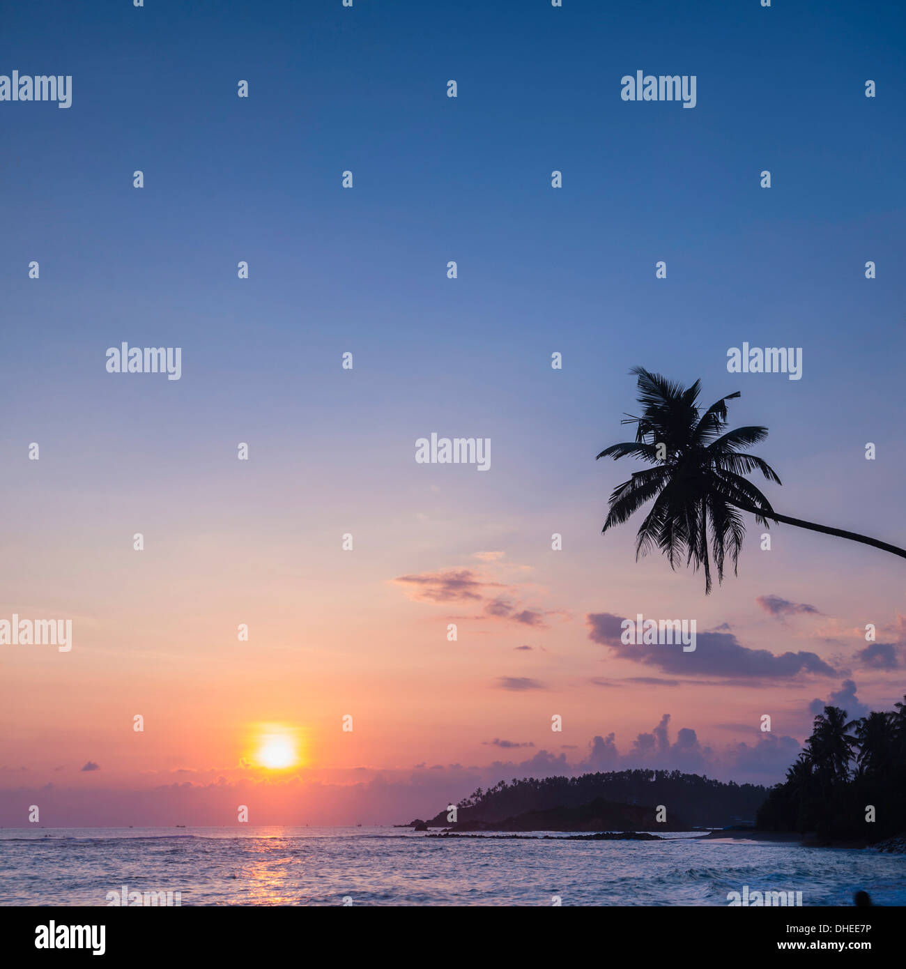 Palm tree at sunset on tropical Mirissa Beach, South Coast of Sri Lanka, Southern Province, Sri Lanka, Asia Stock Photo