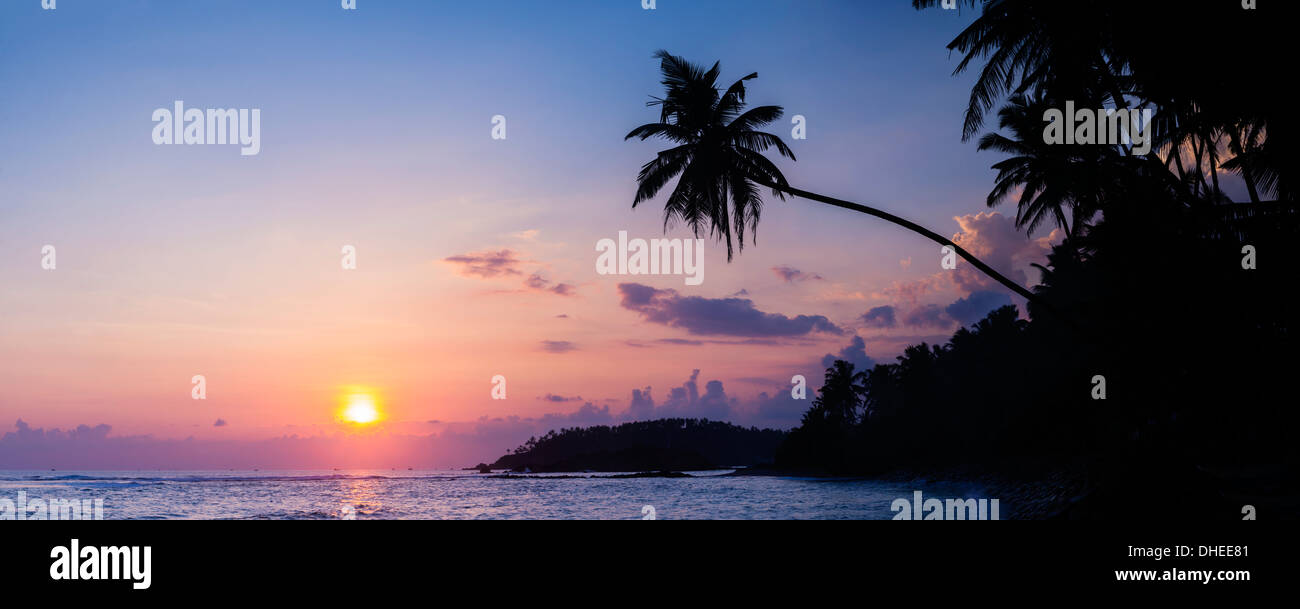 Palm tree at sunset on tropical Mirissa Beach, South Coast of Sri Lanka, Southern Province, Sri Lanka, Asia Stock Photo