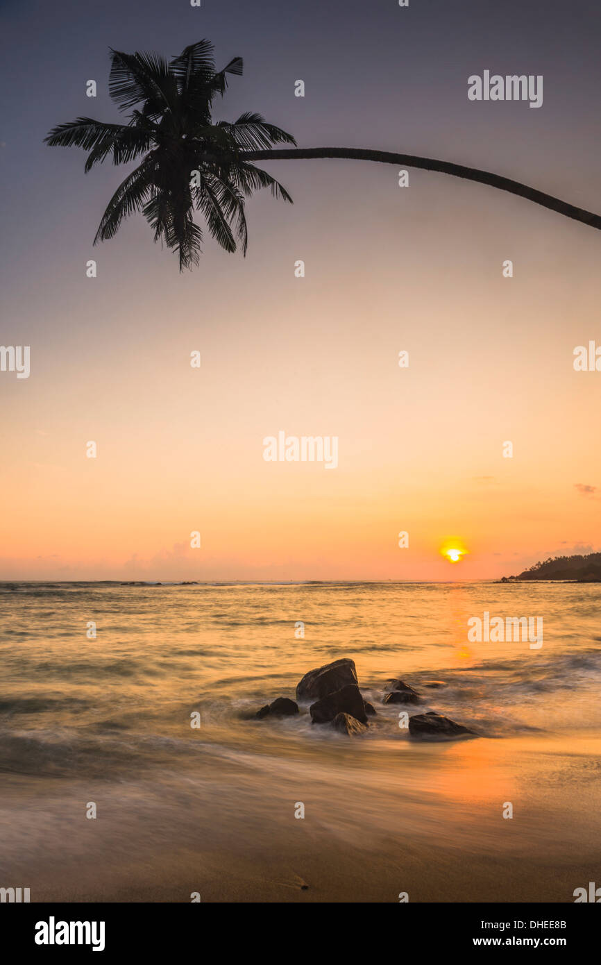 Sunset tropical beach palm hi-res stock photography and images - Alamy