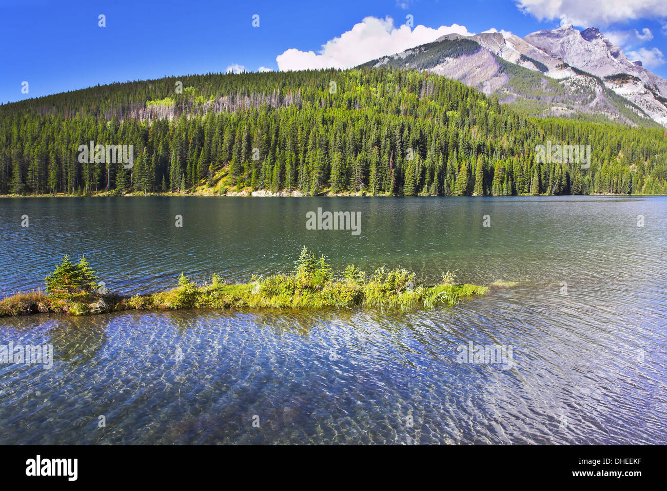 small band large cup