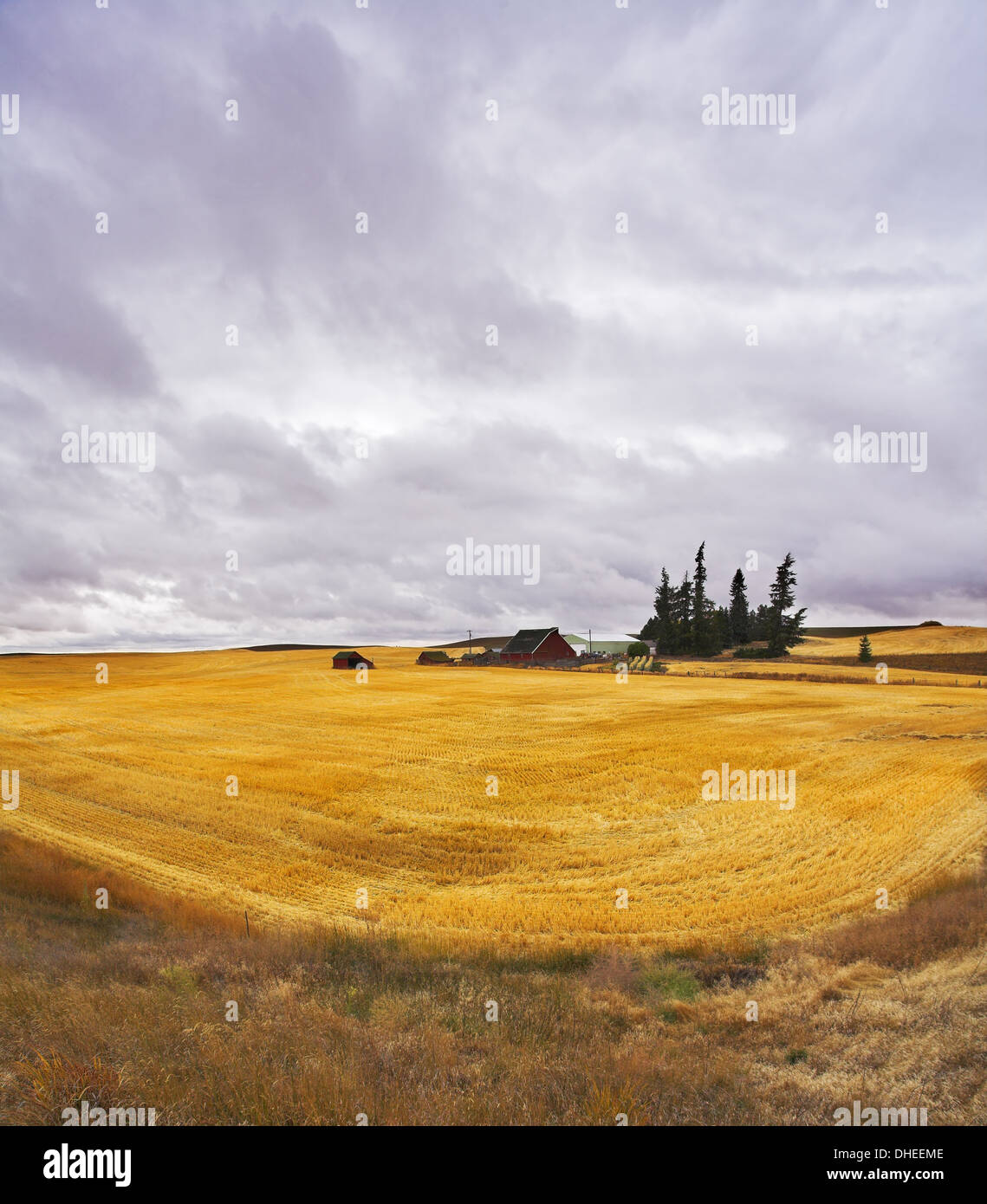 View field after harvesting hi-res stock photography and images - Alamy