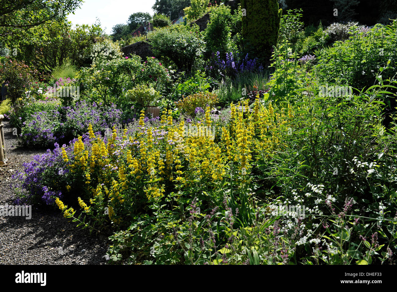 English country garden flowers hi-res stock photography and images - Alamy