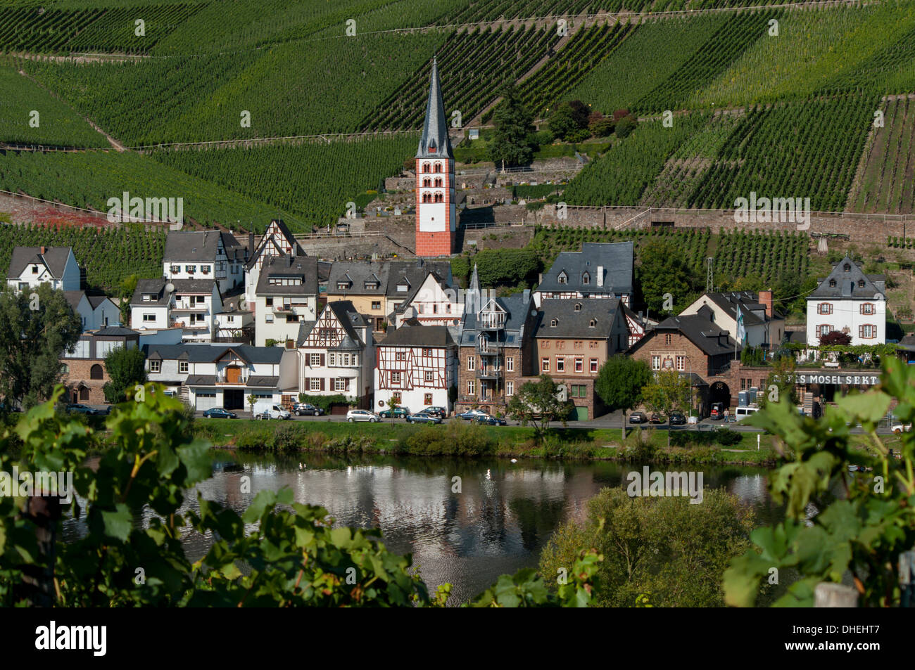 Zell church on River Mosel, Zell, Rhineland-Palatinate, Germany, Europe Stock Photo