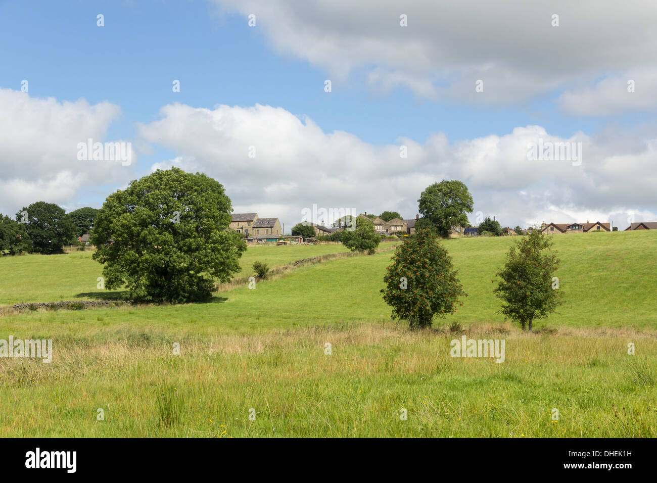 Fields and trees lying between the Wayoh reservoir and the northern part of the village of Edgworth, Turton, Lancashire. Stock Photo