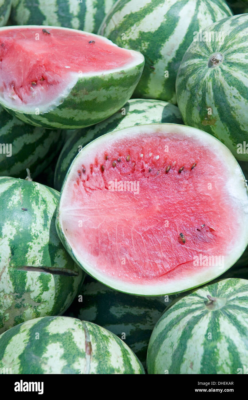 Watermelons, Ed Damer village, Sudan, Africa Stock Photo