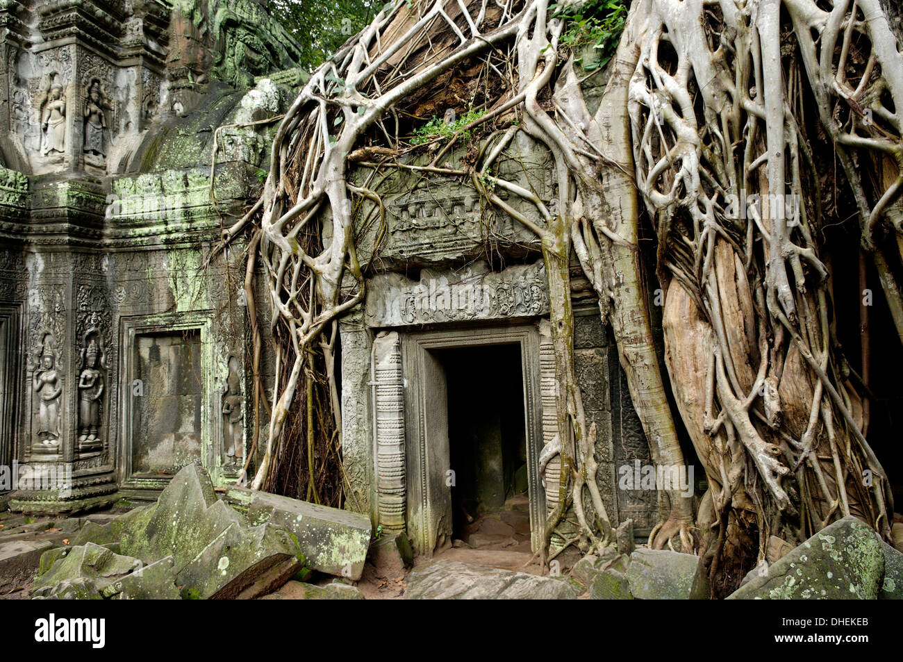 Ta Prohm temple dating from the mid 12th to early 13th centuries, Angkor, UNESCO, Siem Reap, Cambodia, Indochina Stock Photo
