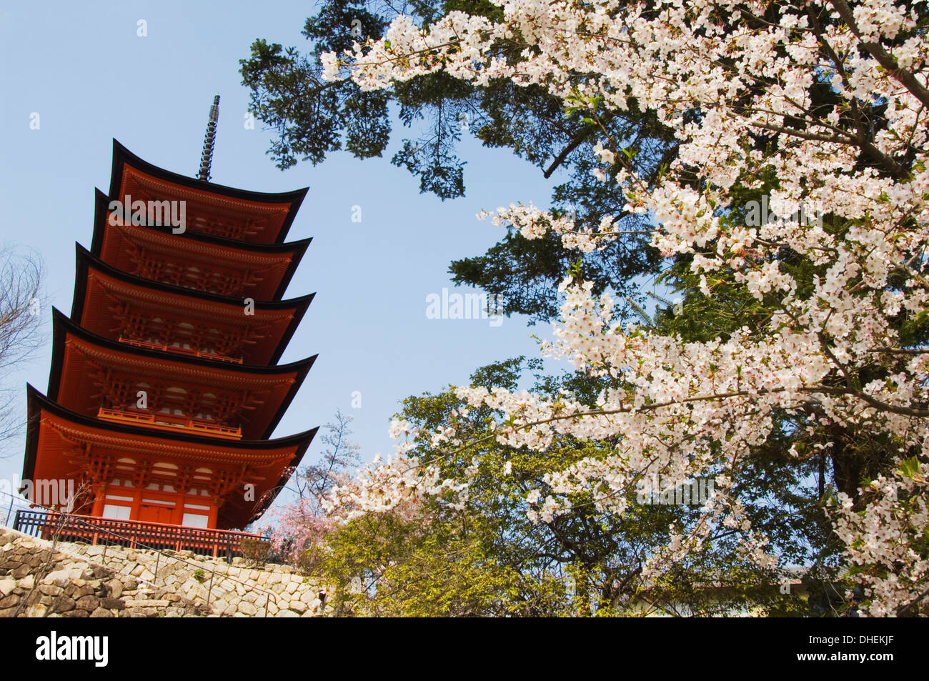 Spring cherry blossom at Senjokaku five storey pagoda, Miyajima island, UNESCO World Heritage Site, Honshu Island, Japan, Asia Stock Photo