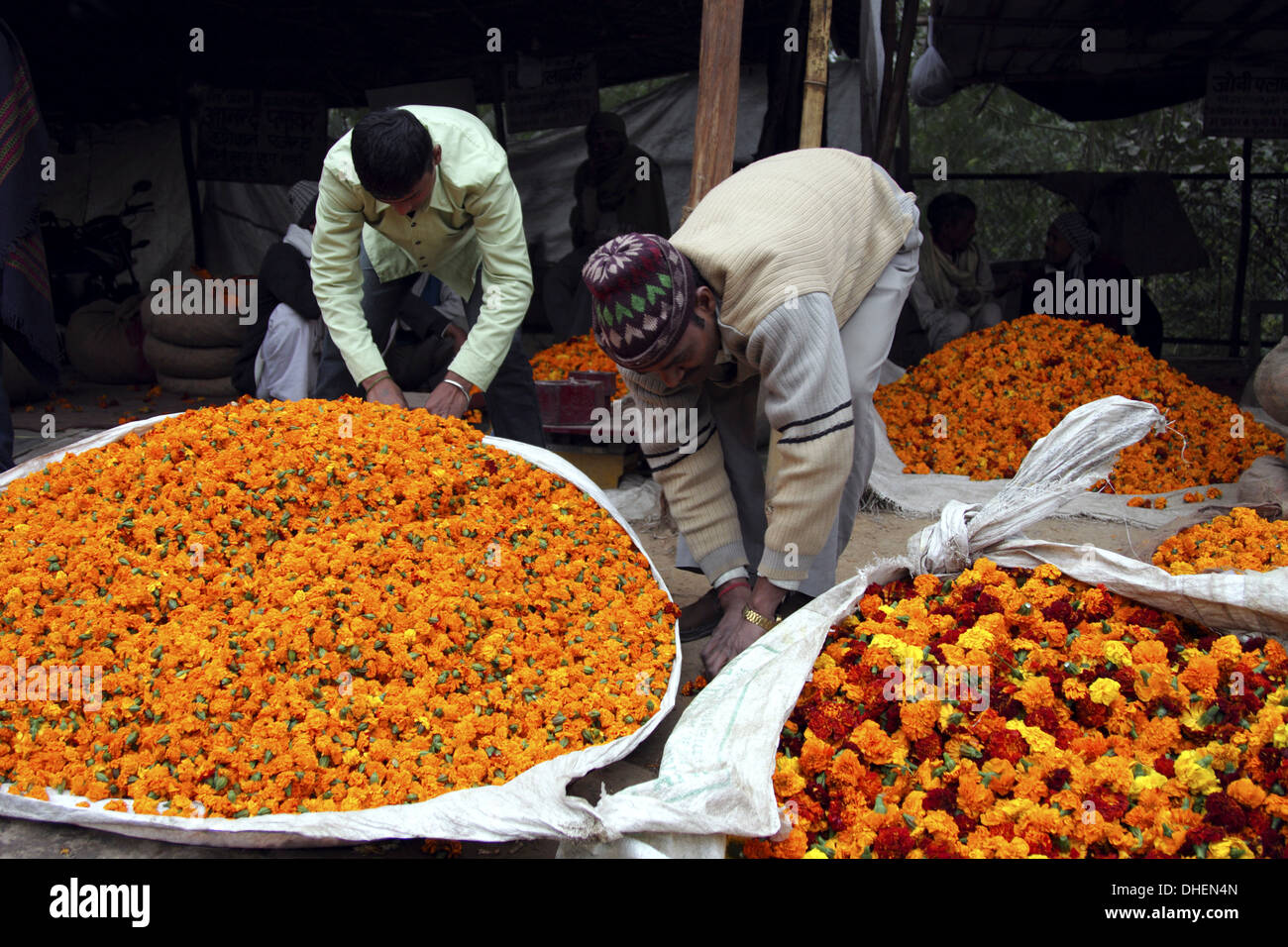 Flower vendors, Delhi, India, Asia Stock Photo Alamy