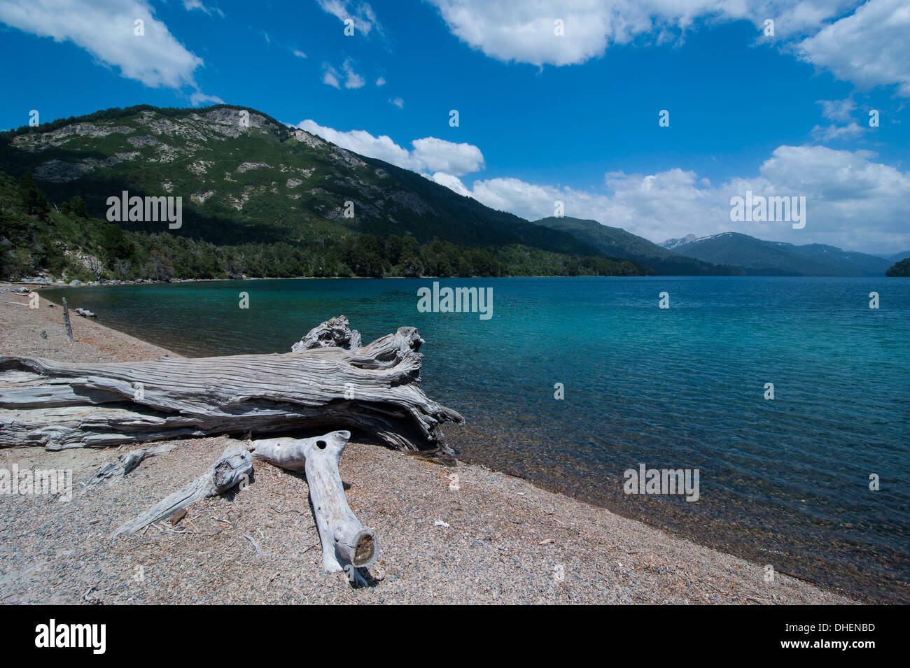 Mountain lake with wild flowers, Ruta de los Siete Lagos, Argentina ...