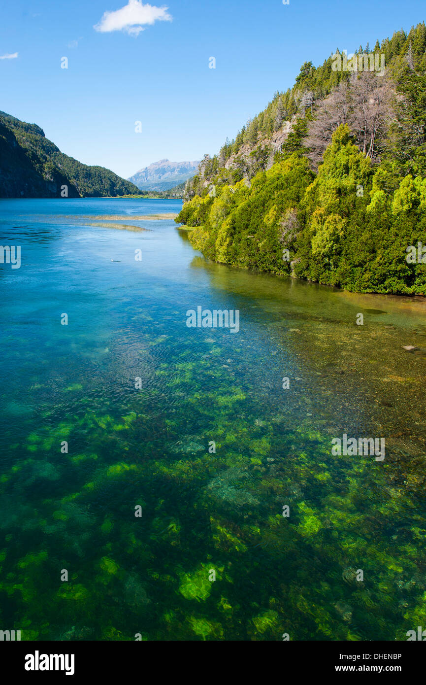 Crystal clear water in the Los Alerces National Park, Chubut, Patagonia, Argentina Stock Photo