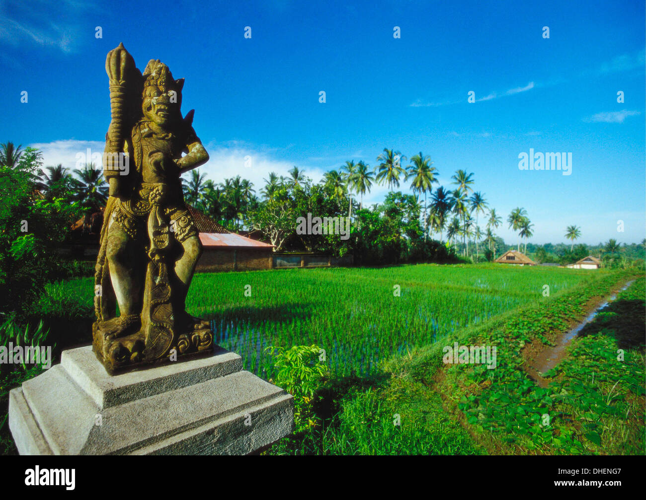 Staue of Raksha in a Rice Field, Ubud, Gianyar, Bali Stock Photo - Alamy