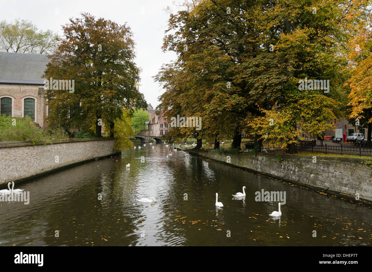 Houses along the canals of Brugge or Bruges, Belgium Stock Photo