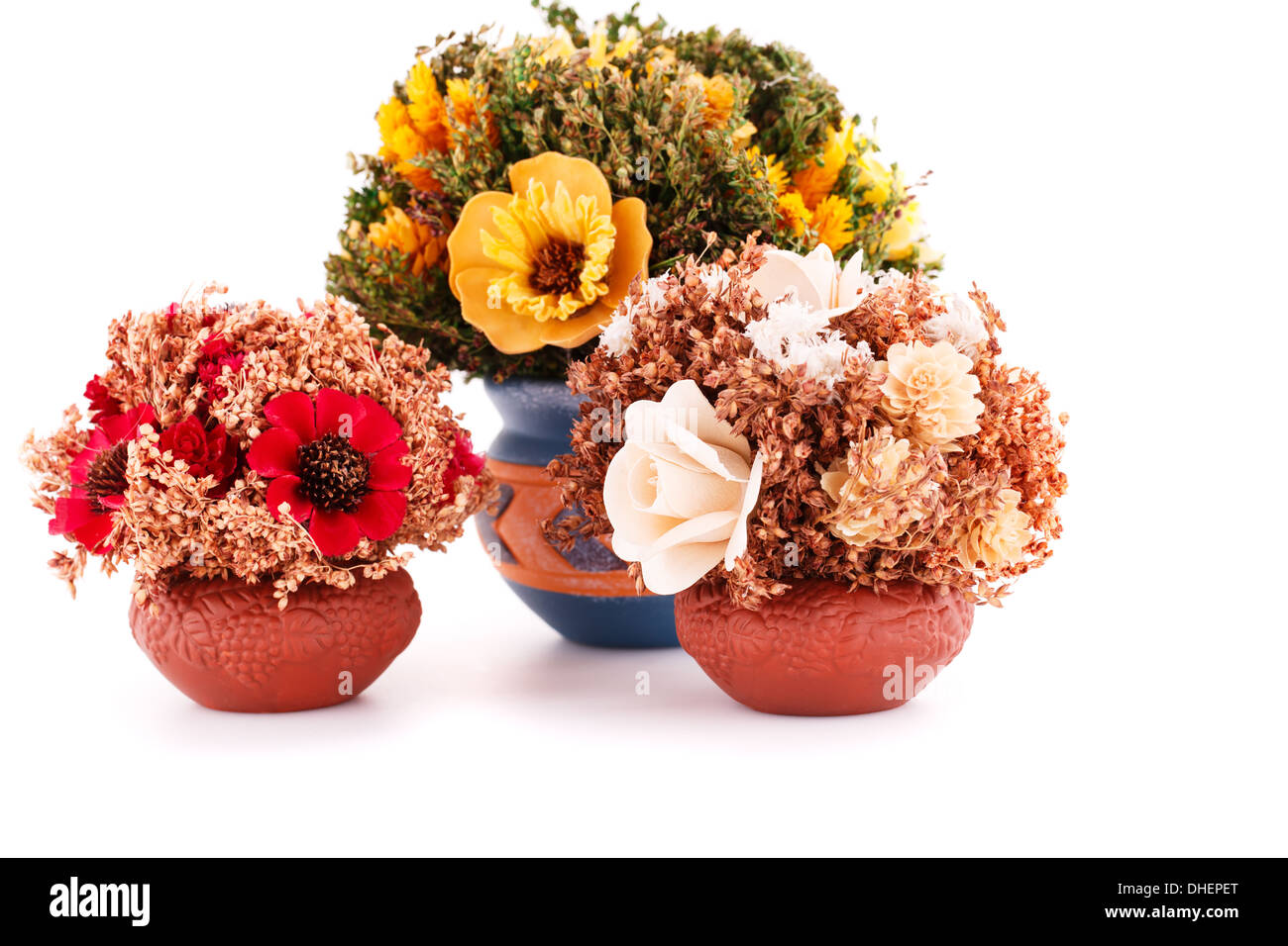 Flowers in vases isolated on white background Stock Photo - Alamy