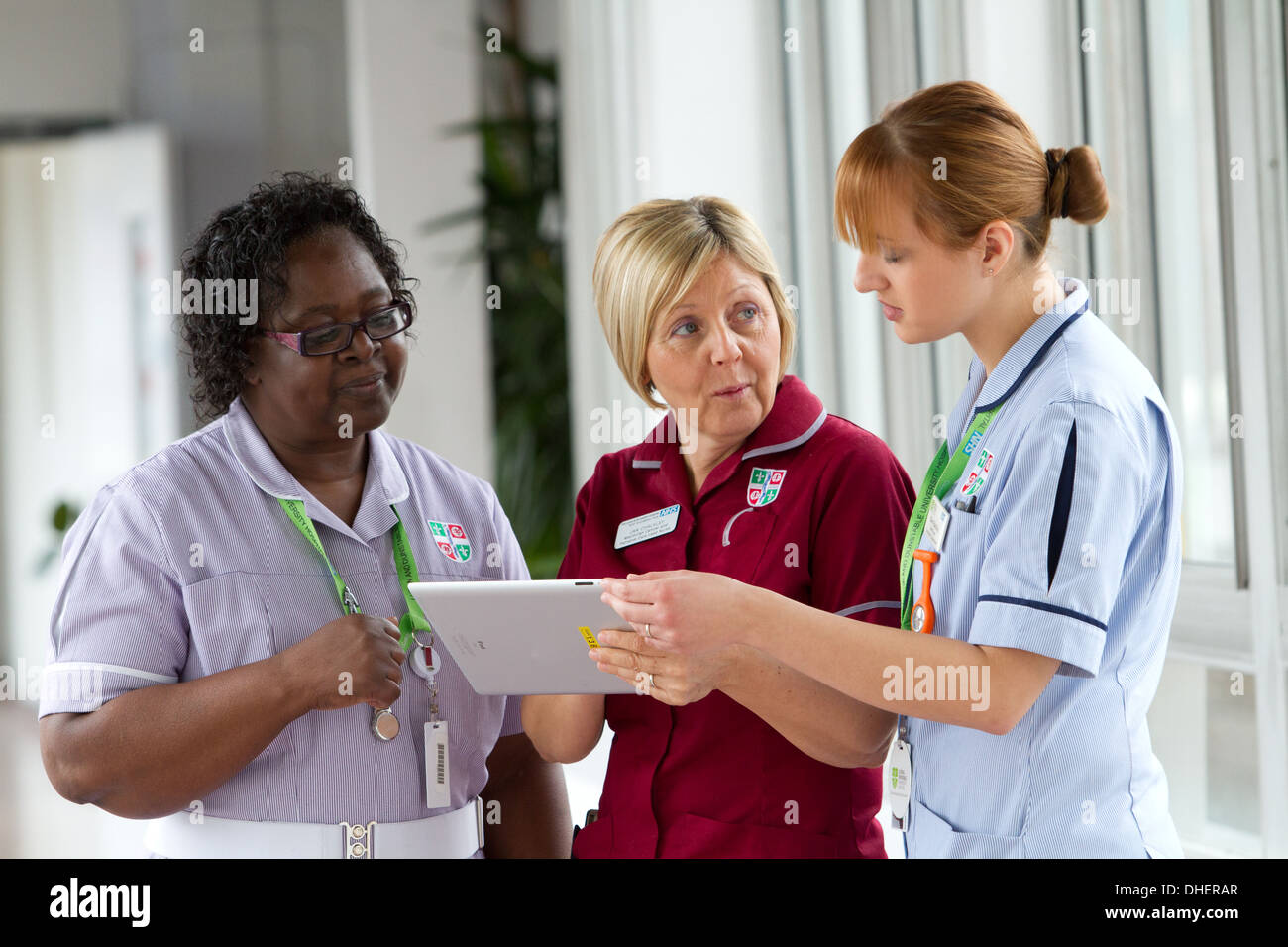 A group of three nurses discuss work on a tablet computer UK Stock Photo