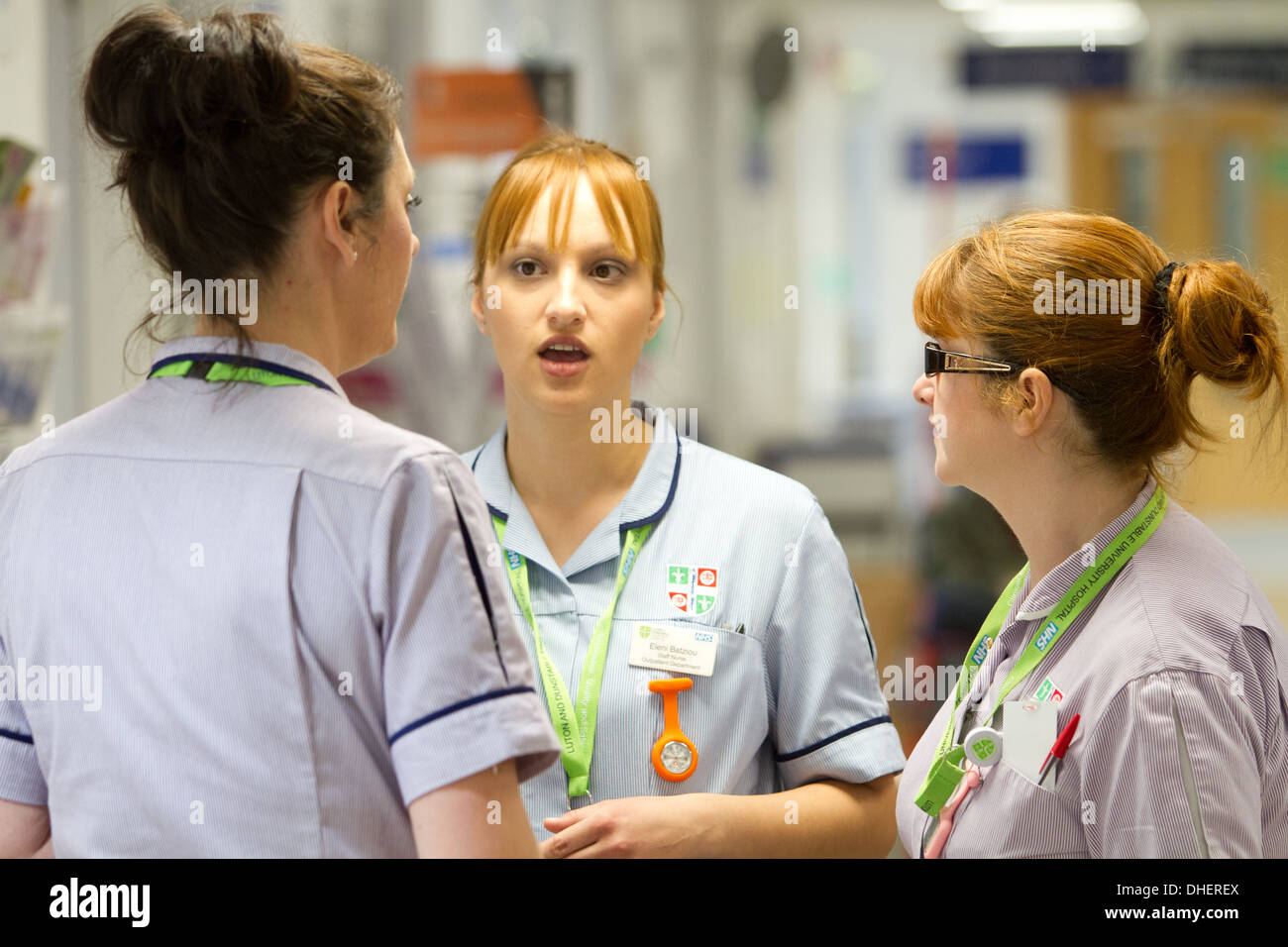 Nurses in discussion on an NHS hospital ward UK Stock Photo