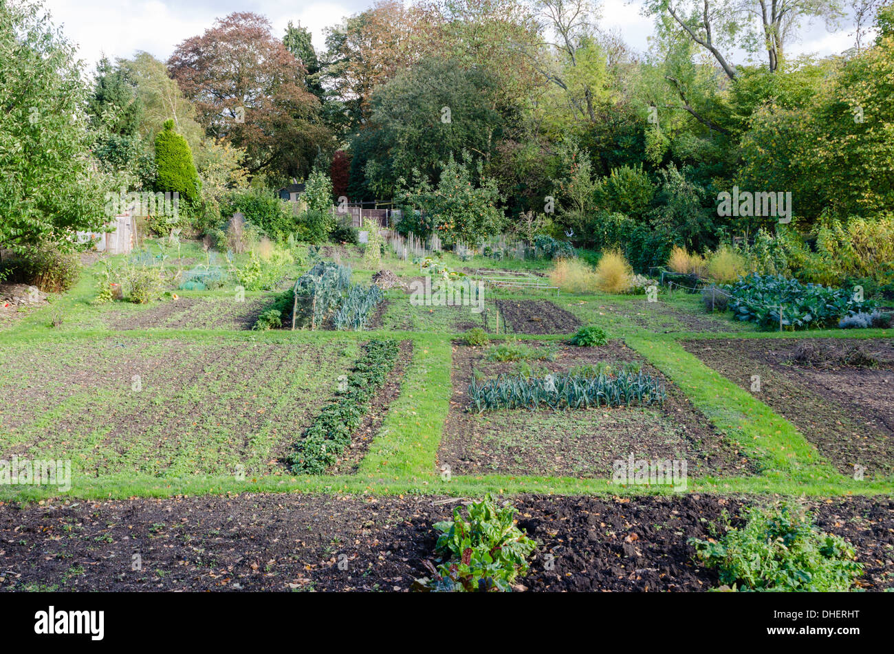Large vegetable garden in the Gloucestershire town of Winchcombe Stock Photo