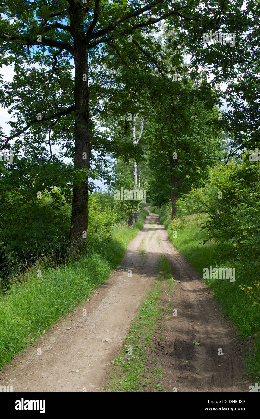 Valley of the green trees Stock Photo - Alamy