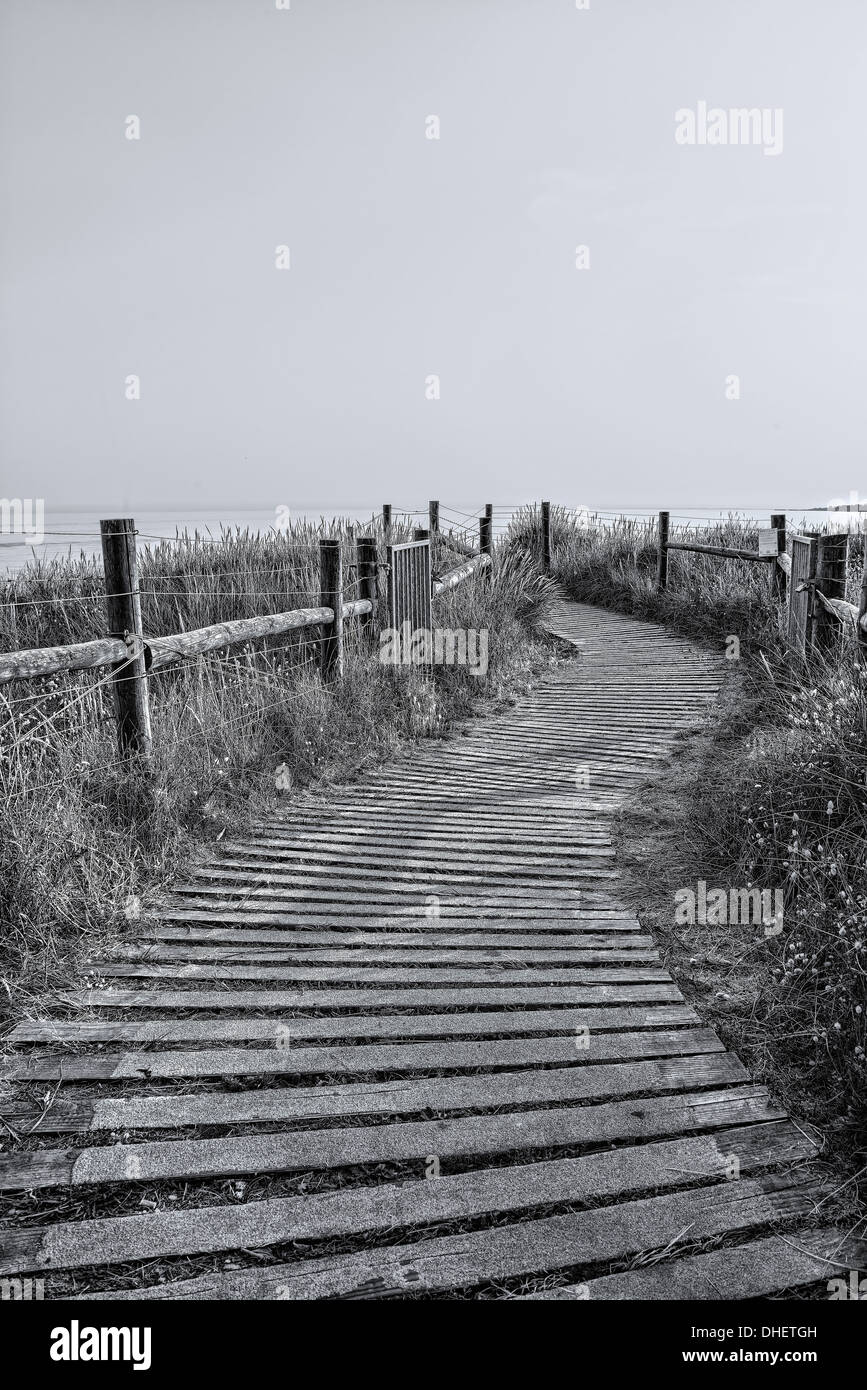Black and white of the west beach wooden stairway in Littlehampton ...