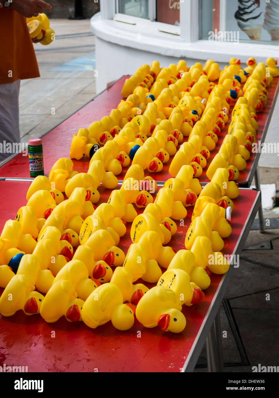 Woman stood behind table full of small yellow plastic ducks for duck race off Cromer Pier Norfolk England Stock Photo